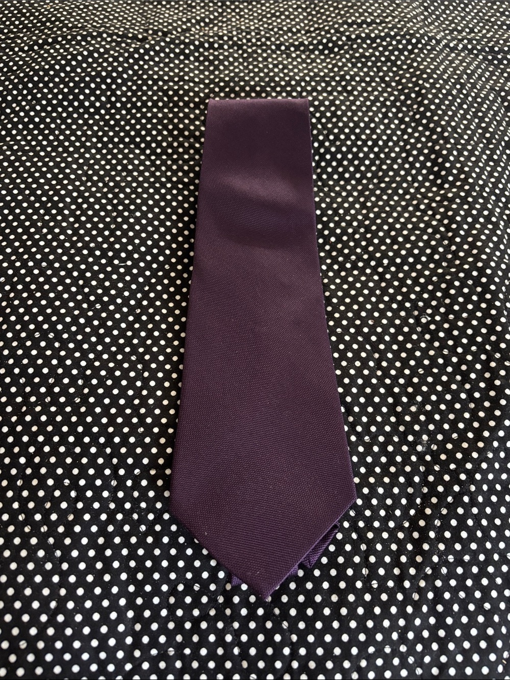Van Heusen Solid Deep Purple Men's Tie
